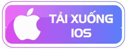 app 02