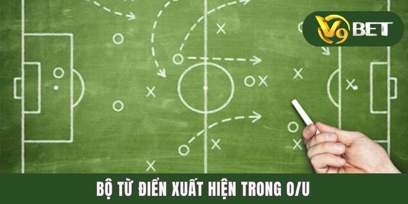 1001 Thuật Ngữ Cá Độ Bóng Đá Nhất Định Độ Thủ Phải Biết 3 Bộ từ điển xuất hiện trong O/U