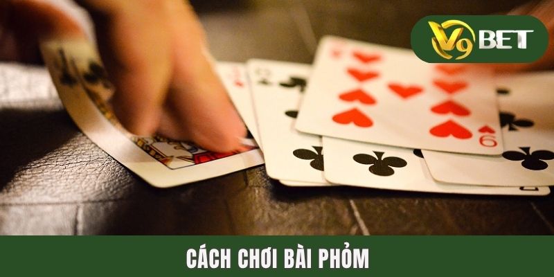 Cách Chơi Bài Phỏm Chi Tiết & 3 Bí Kíp Hữu Hiệu Từ Cao Thủ