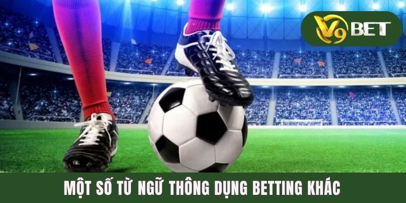 1001 Thuật Ngữ Cá Độ Bóng Đá Nhất Định Độ Thủ Phải Biết 4 Một số từ ngữ thông dụng betting khác