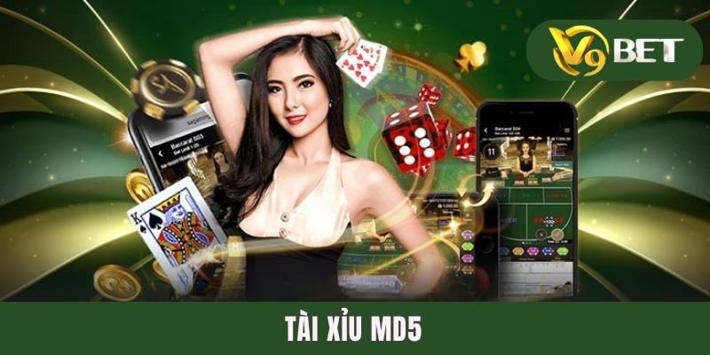 Tài Xỉu MD5 - Game Live Betting Sicbo Hấp Dẫn Làng Đỏ Đen