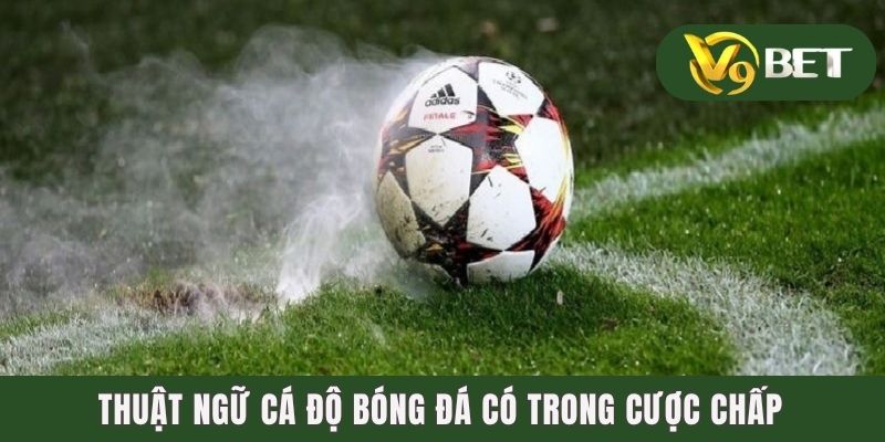 1001 Thuật Ngữ Cá Độ Bóng Đá Nhất Định Độ Thủ Phải Biết 2 Thuật ngữ cá độ bóng đá có trong cược Chấp