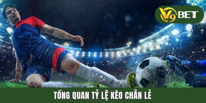 Kèo Chẵn Lẻ - Biến Thể Phụ Đơn Giản Cho Các Tay Mơ 2 Tổng quan tỷ lệ kèo chẵn lẻ