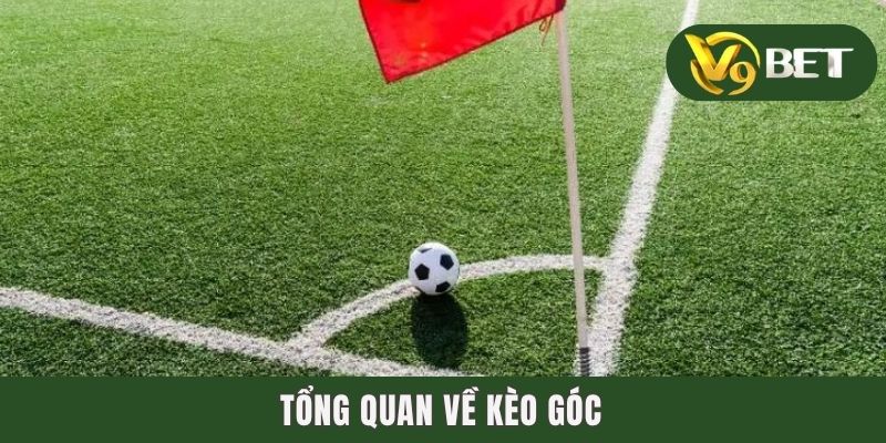 Kèo Góc - Điểm Danh Các Dạng Corner Bet Hot Nhất Thị Trường 2 Tổng quan về kèo góc